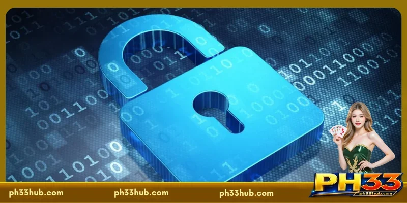 Important Regulations Regarding the Privacy Policy on the PH33 Platform
